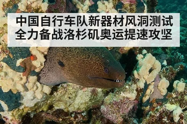 中国自行车队新器材风洞测试全力备战洛杉矶奥运提速攻坚
